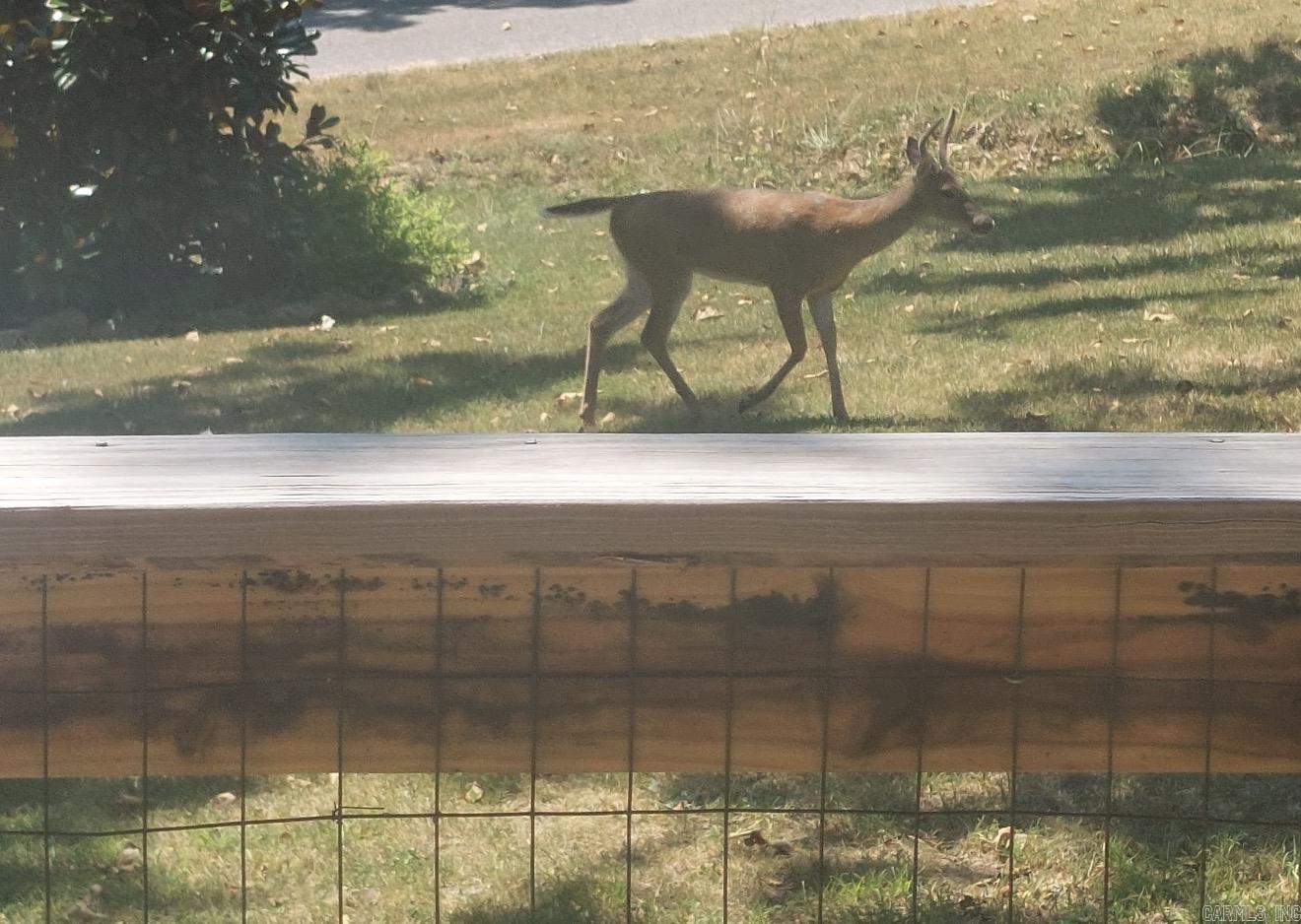 Photo 41 - Residential for sale – 208  Fairway Dr   Horseshoe Bend, AR