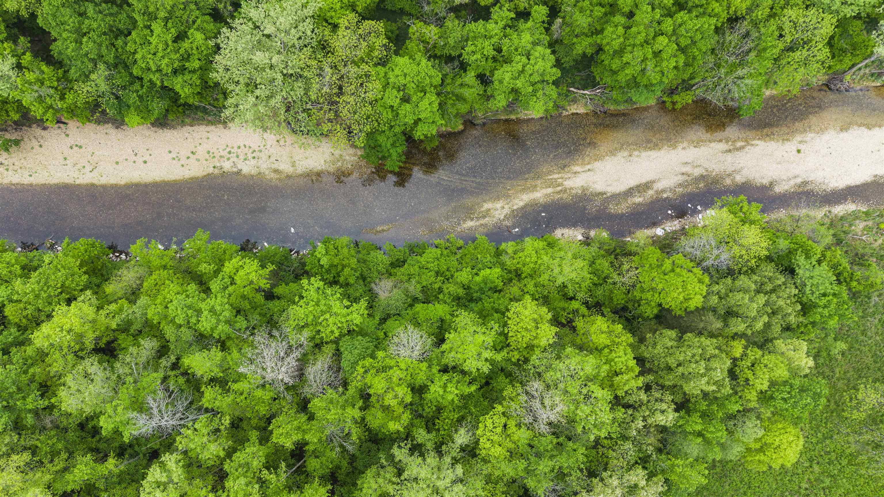 Photo 7 - Residential for sale – 709  Jones   Timbo, AR