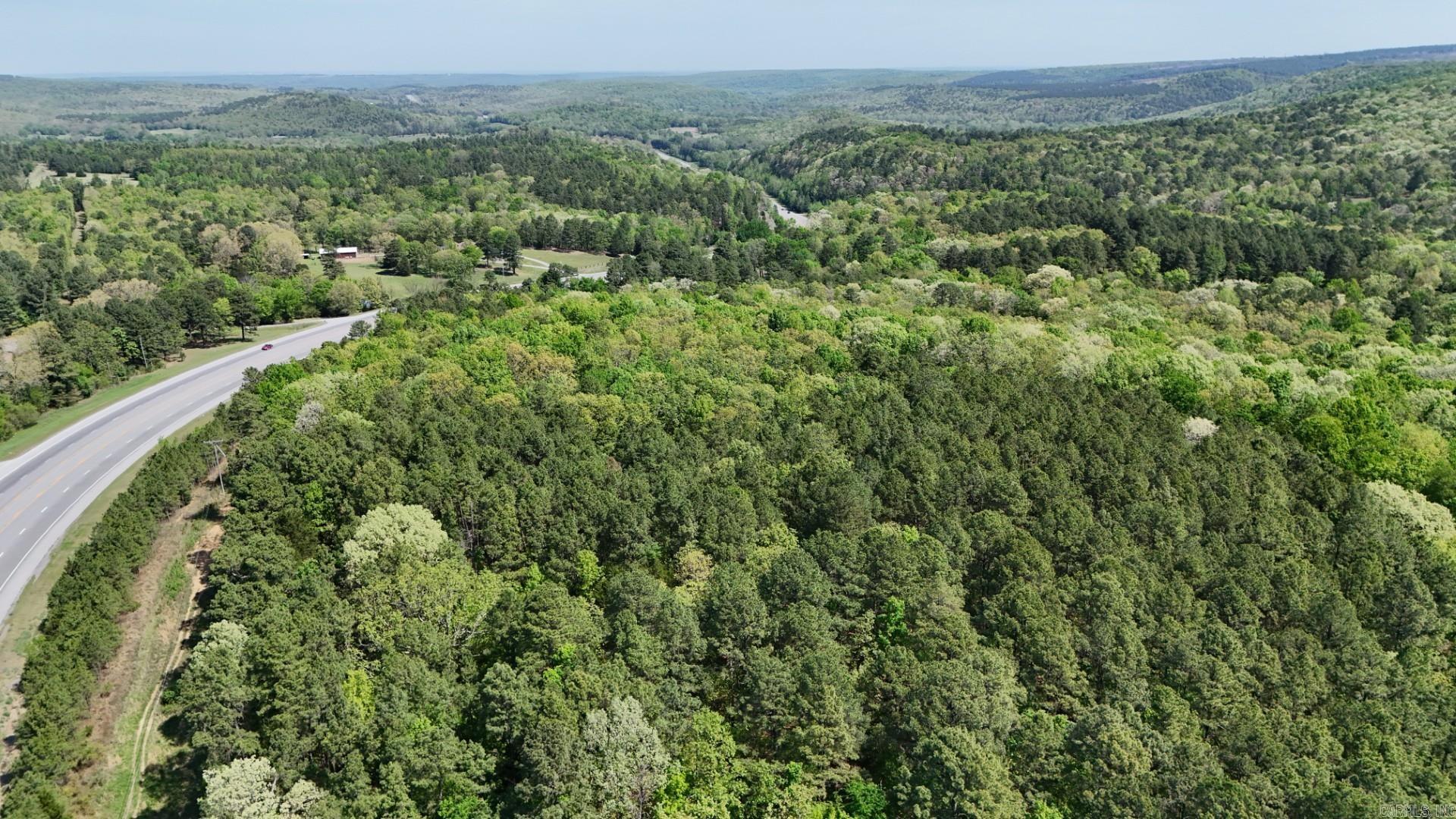 Photo 3 - Vacant Land for sale –   Batesville Blvd   Pleasant Plains, AR