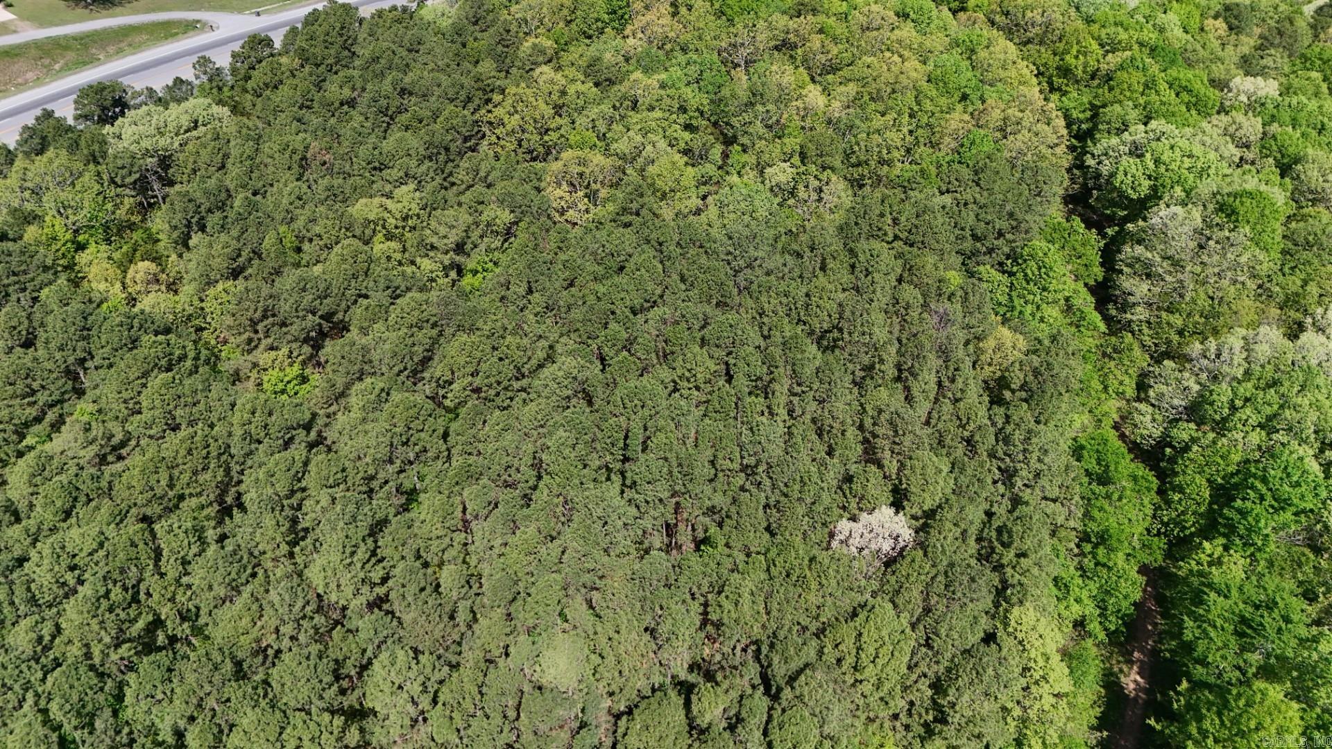 Photo 4 - Vacant Land for sale –   Batesville Blvd   Pleasant Plains, AR