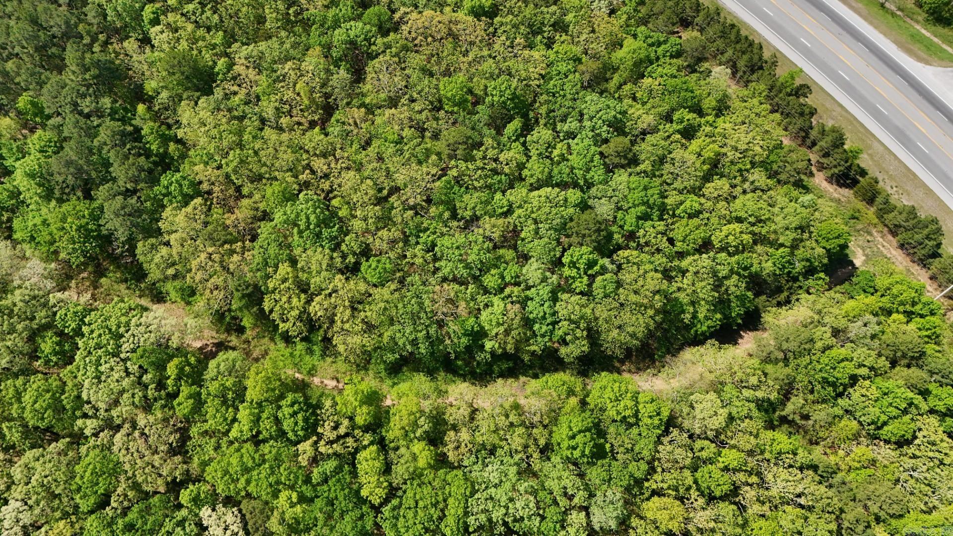 Photo 6 - Vacant Land for sale –   Batesville Blvd   Pleasant Plains, AR