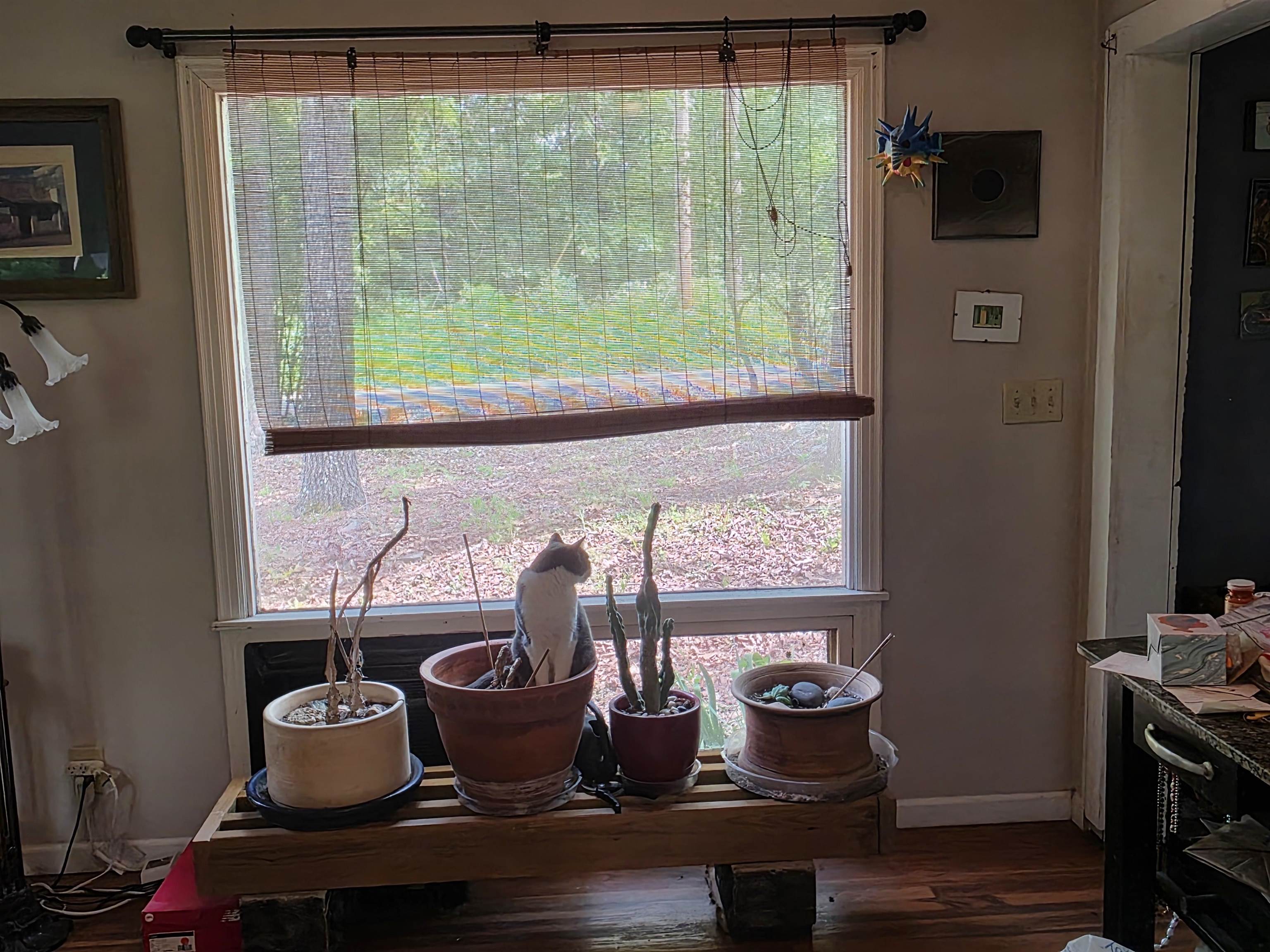 Photo 24 - Residential for sale – 76  Hiawatha   Cherokee Village, AR