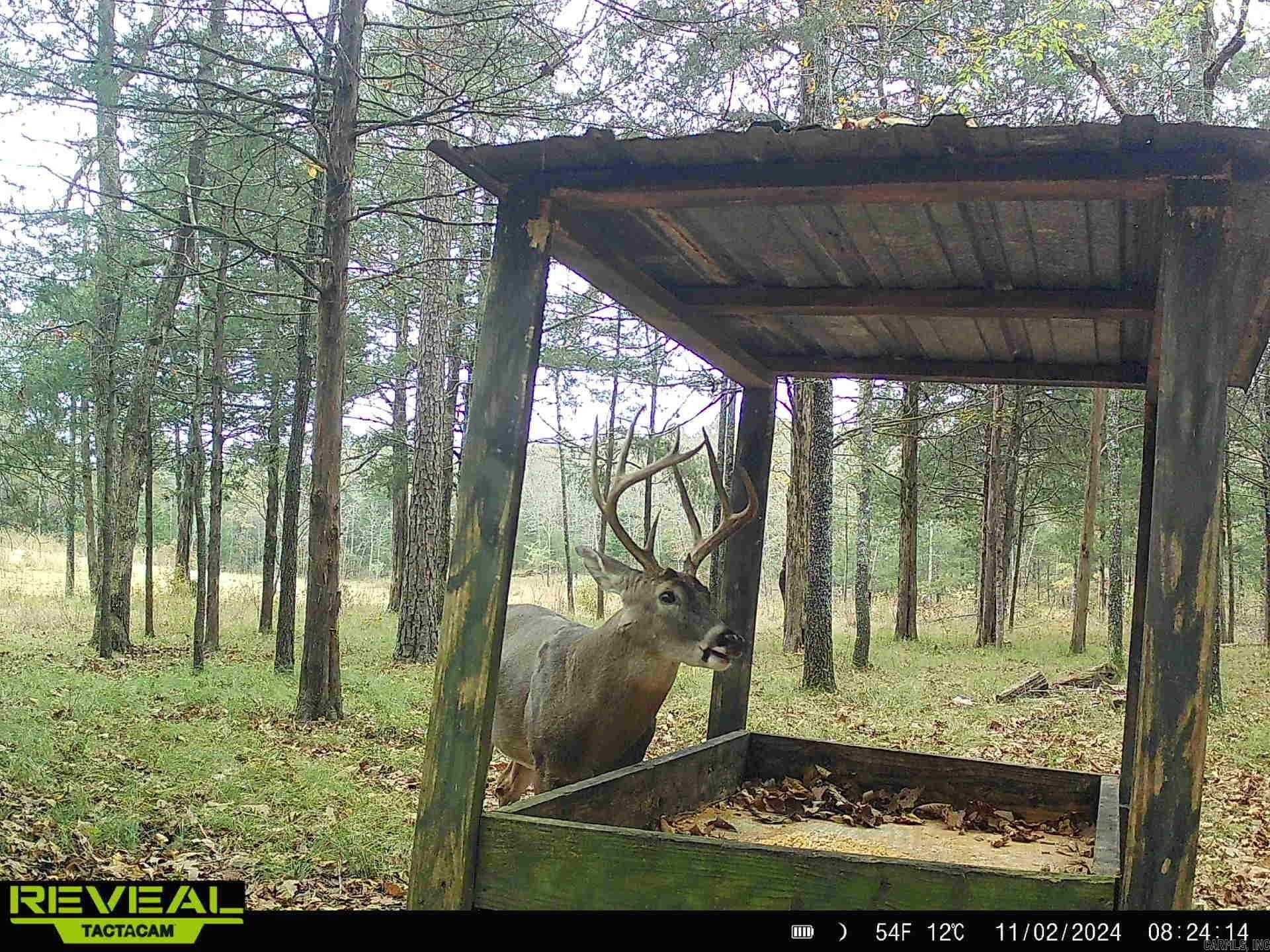 Photo 3 - Vacant Land for sale – 0  Camp Tahkodah   Floral, AR