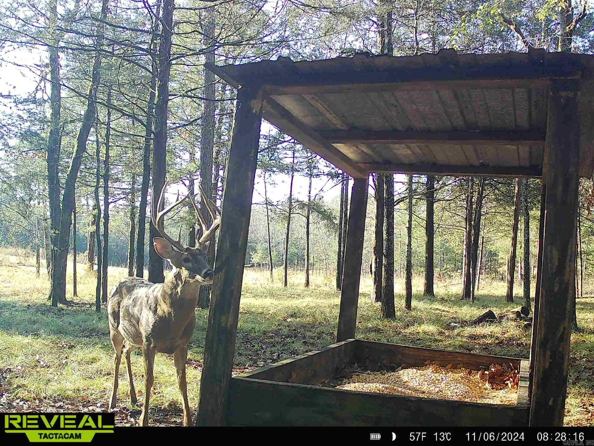 Photo 4 - Vacant Land for sale – 0  Camp Tahkodah   Floral, AR