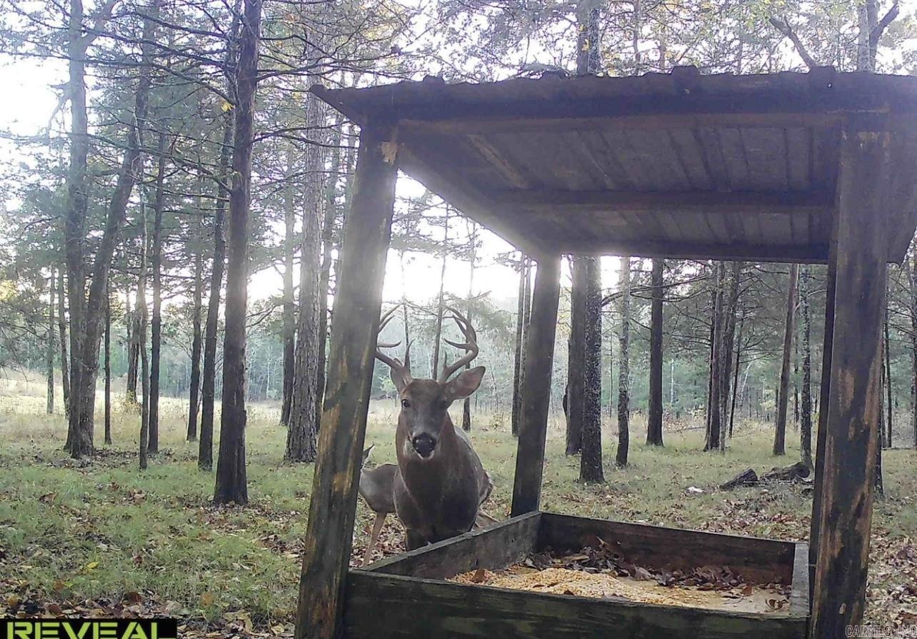 Photo 5 - Vacant Land for sale – 0  Camp Tahkodah   Floral, AR