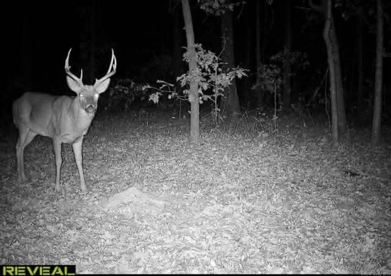 Photo 6 - Vacant Land for sale – 0  Camp Tahkodah   Floral, AR