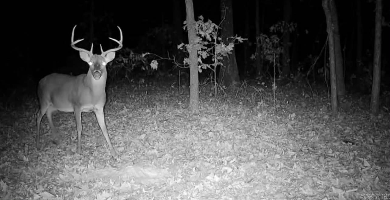 Photo 7 - Vacant Land for sale – 0  Camp Tahkodah   Floral, AR