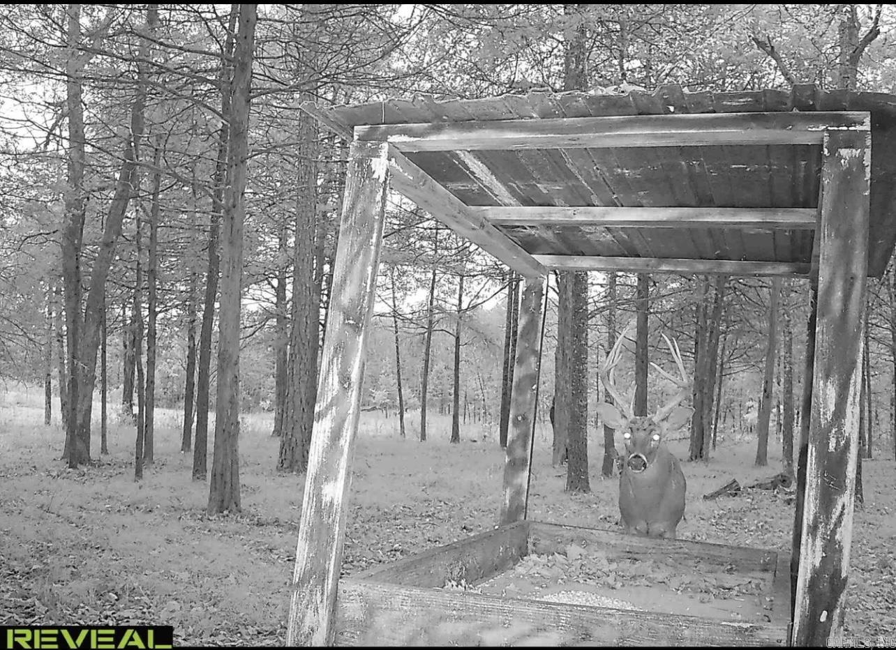 Photo 8 - Vacant Land for sale – 0  Camp Tahkodah   Floral, AR