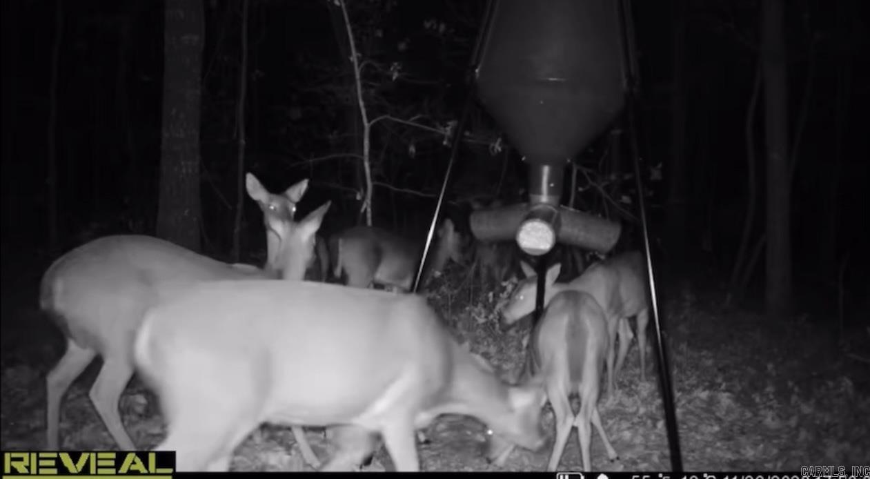 Photo 9 - Vacant Land for sale – 0  Camp Tahkodah   Floral, AR