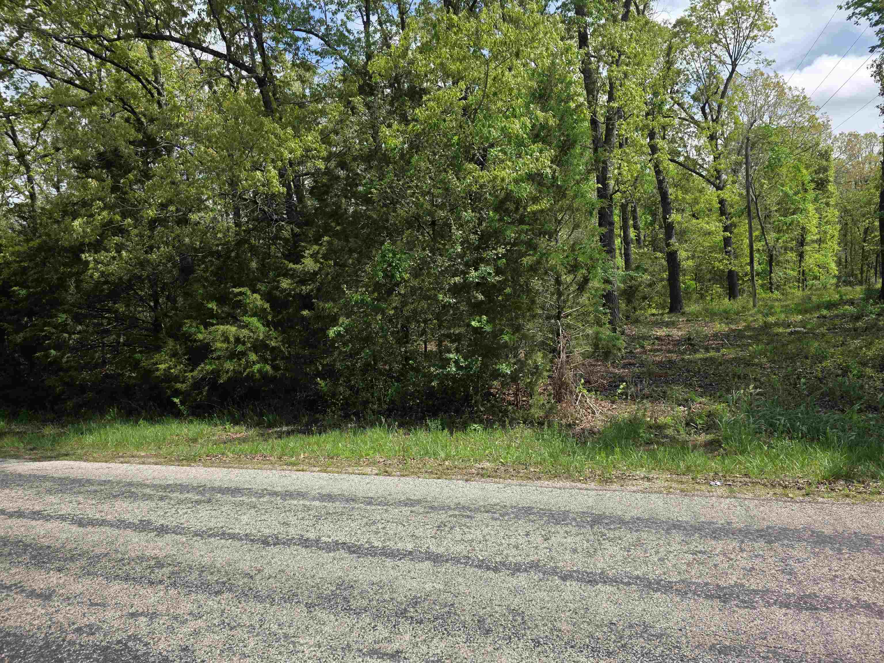 Photo 2 - Vacant Land for sale – 704 E Moonstone   Horseshoe Bend, AR