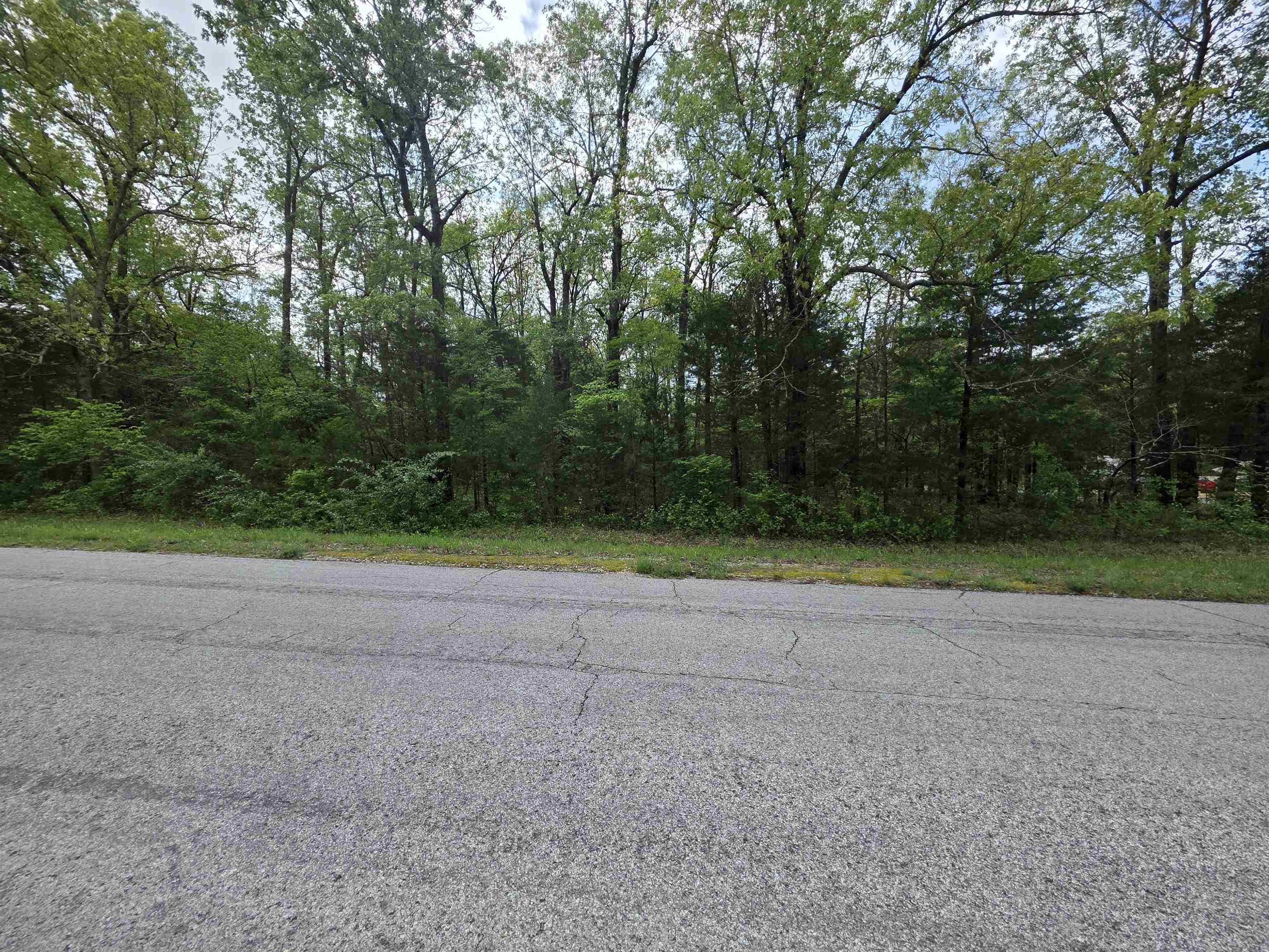 Photo 12 - Vacant Land for sale – 704 E Moonstone   Horseshoe Bend, AR