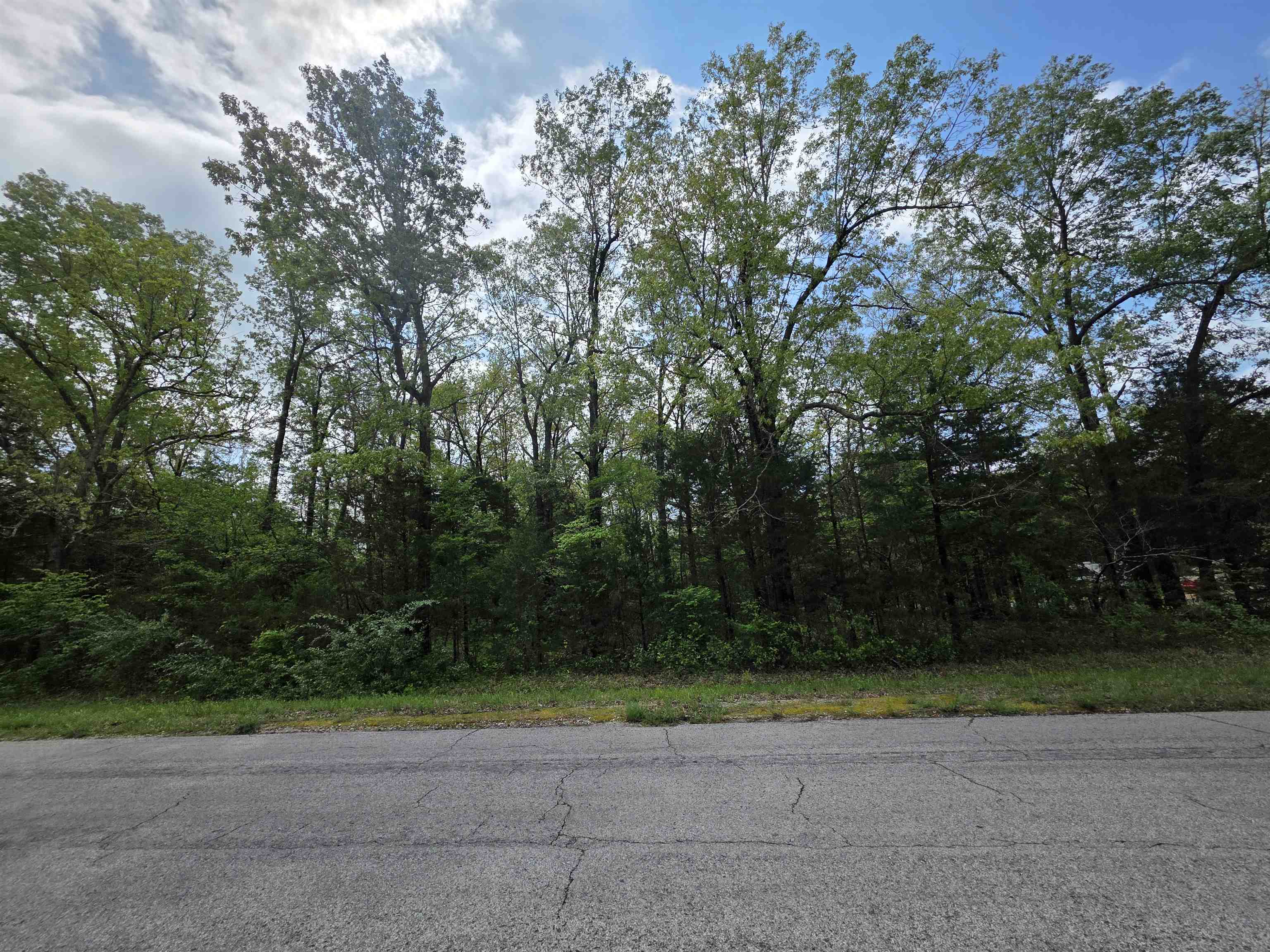 Photo 14 - Vacant Land for sale – 704 E Moonstone   Horseshoe Bend, AR