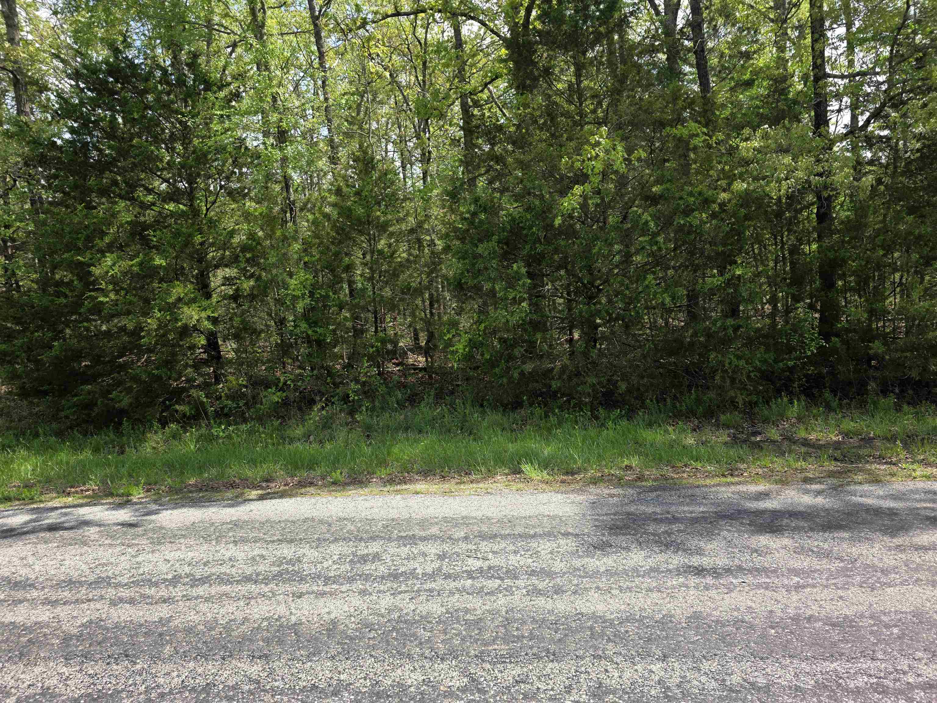 Photo 3 - Vacant Land for sale – 704 E Moonstone   Horseshoe Bend, AR