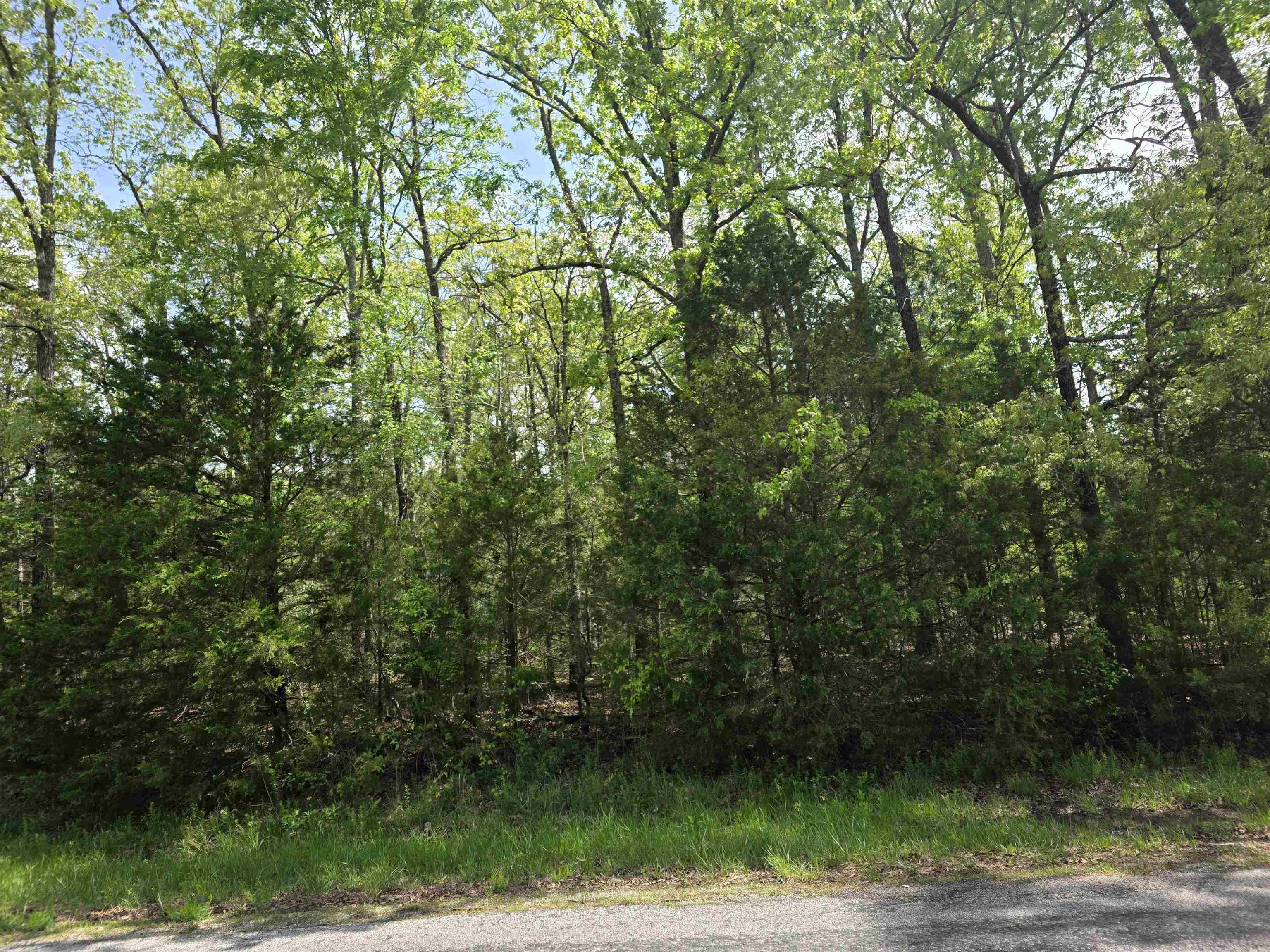 Photo 4 - Vacant Land for sale – 704 E Moonstone   Horseshoe Bend, AR