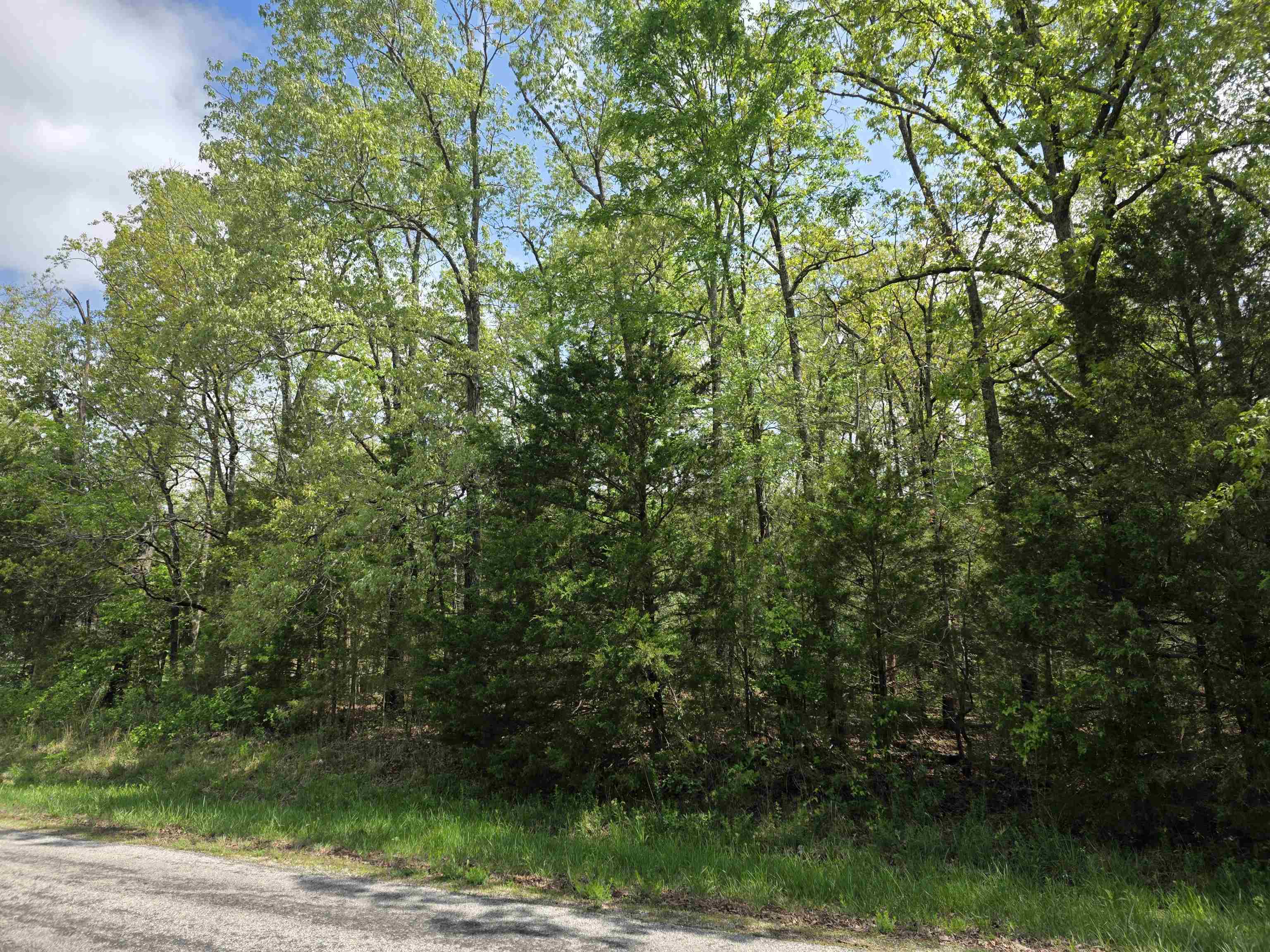 Photo 5 - Vacant Land for sale – 704 E Moonstone   Horseshoe Bend, AR