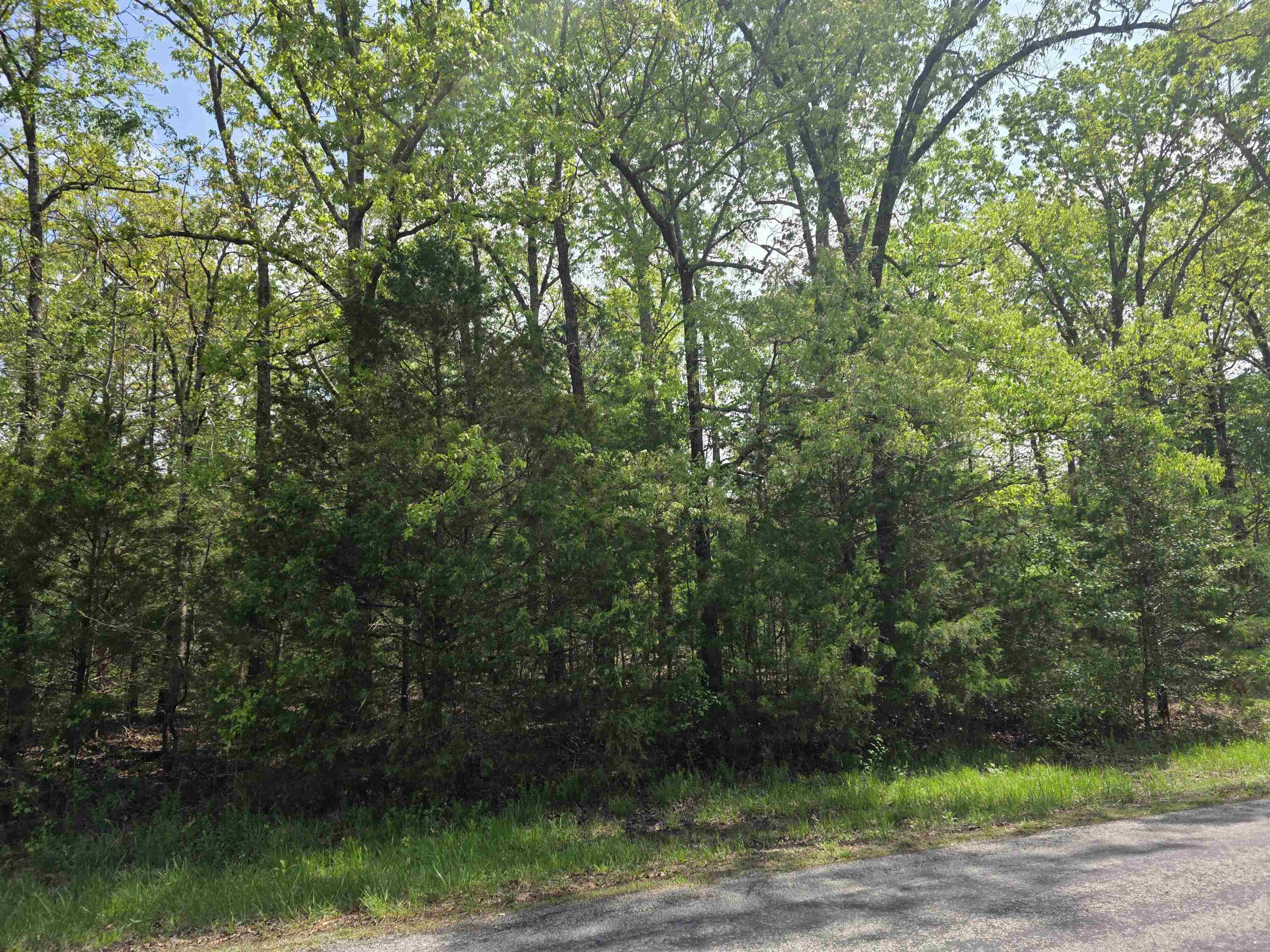 Photo 6 - Vacant Land for sale – 704 E Moonstone   Horseshoe Bend, AR