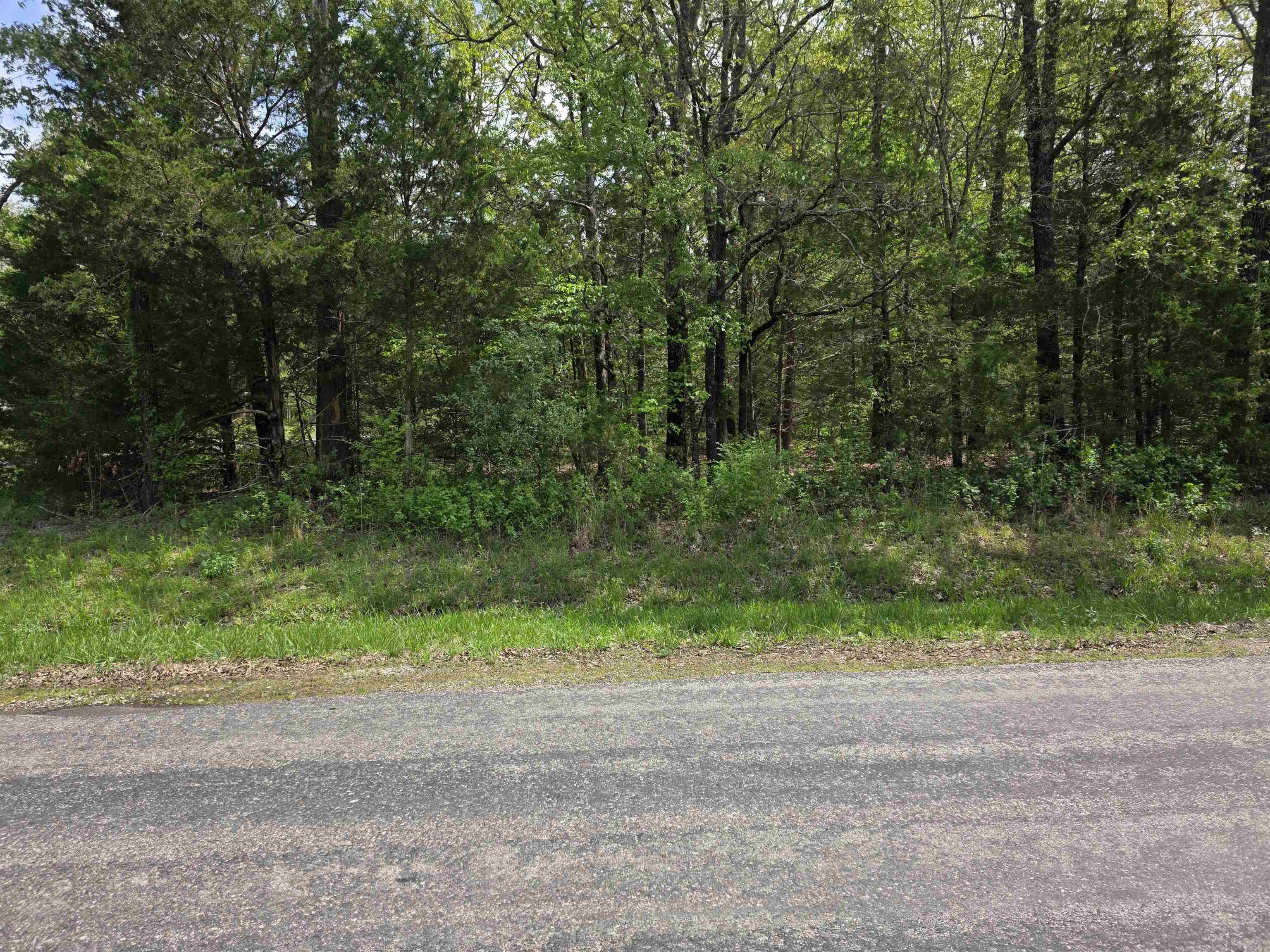 Photo 7 - Vacant Land for sale – 704 E Moonstone   Horseshoe Bend, AR