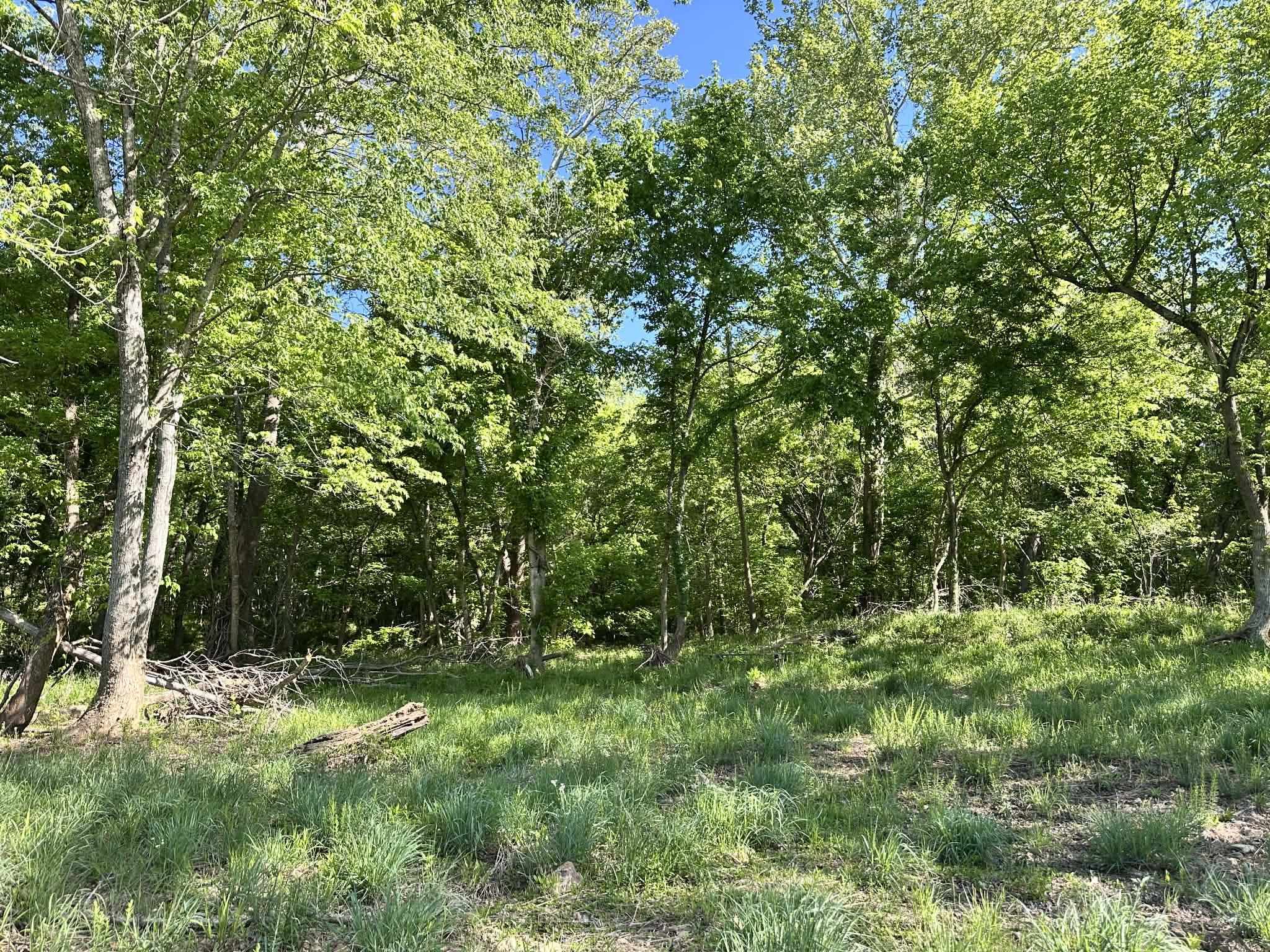 Photo 42 - Residential for sale – 14  Nokonda   Cherokee Village, AR