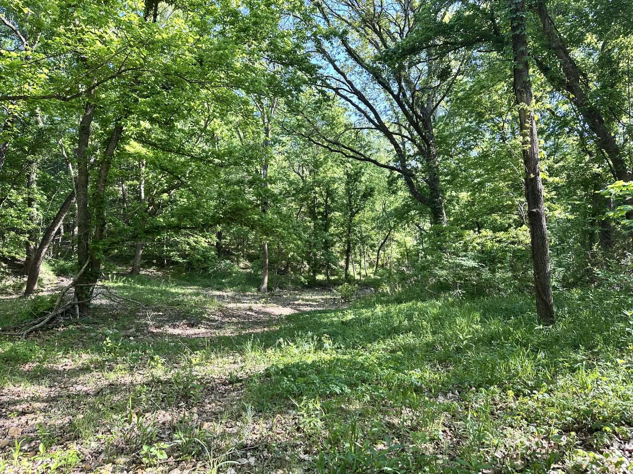 Photo 43 - Residential for sale – 14  Nokonda   Cherokee Village, AR