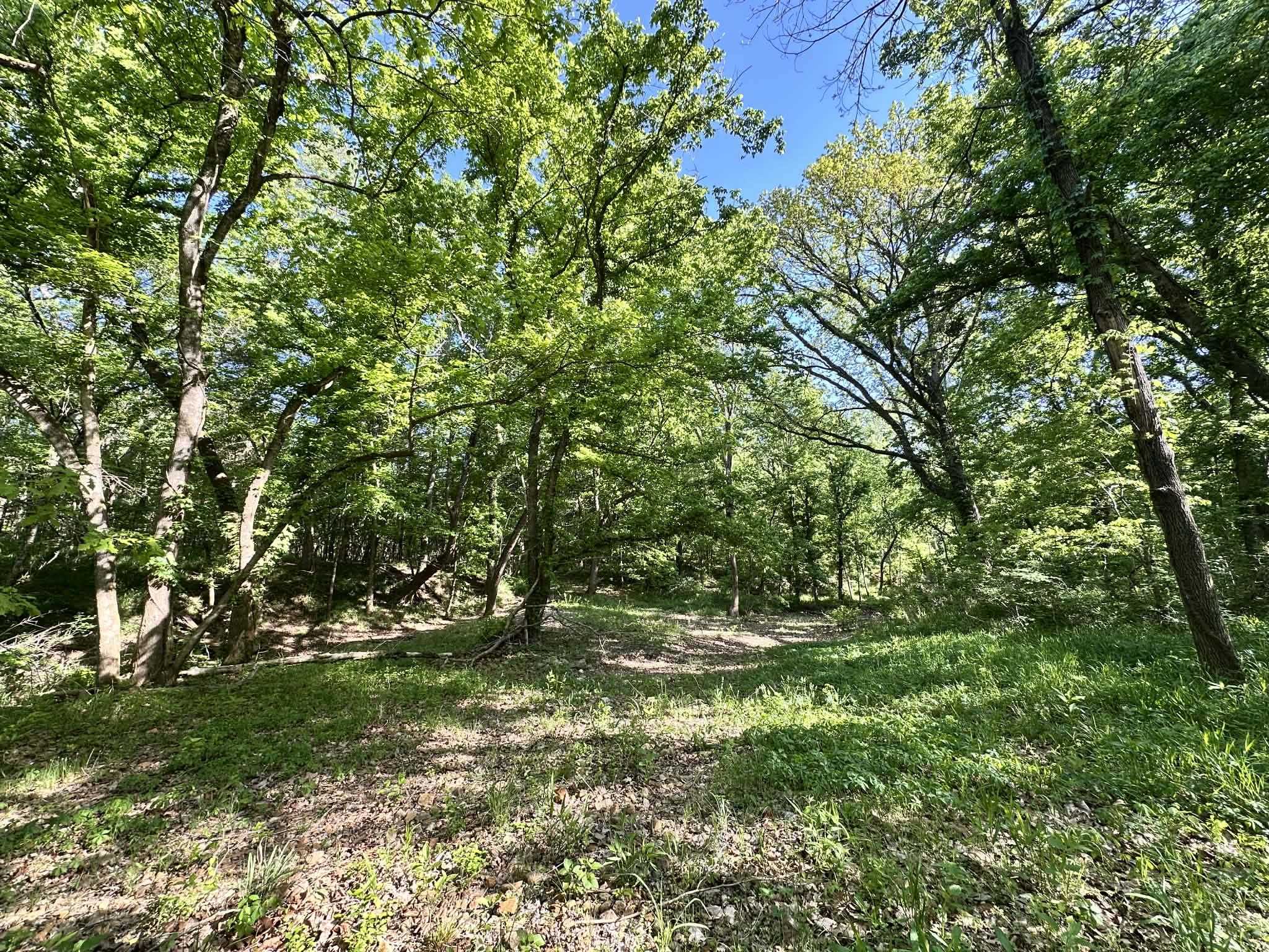 Photo 44 - Residential for sale – 14  Nokonda   Cherokee Village, AR