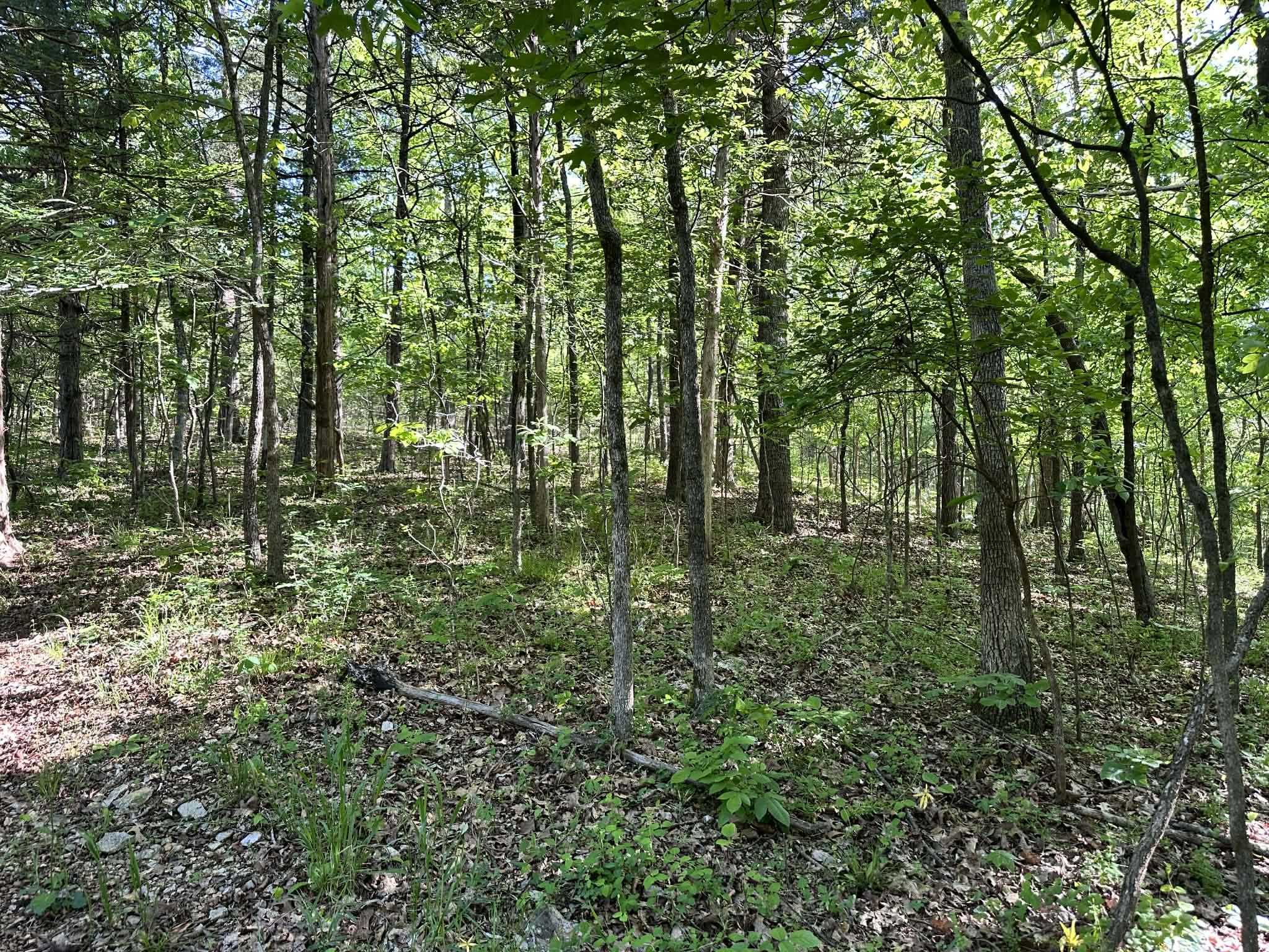 Photo 48 - Residential for sale – 14  Nokonda   Cherokee Village, AR