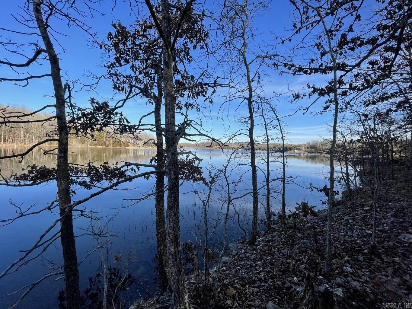 Photo 3 - Vacant Land for sale – 00  Chesapeake   Cherokee Village, AR