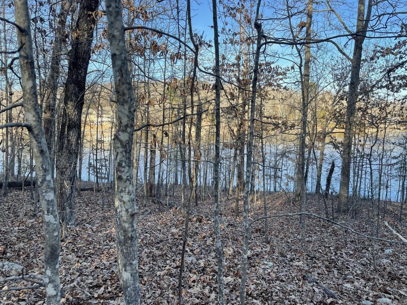 Photo 5 - Vacant Land for sale – 00  Chesapeake   Cherokee Village, AR