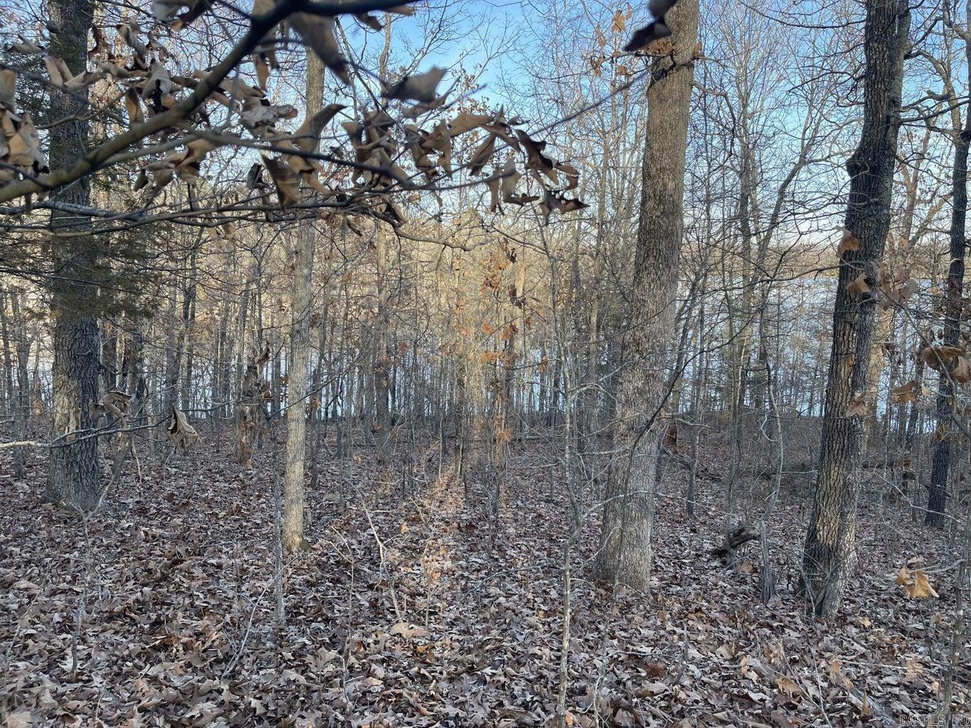 Photo 6 - Vacant Land for sale – 00  Chesapeake   Cherokee Village, AR