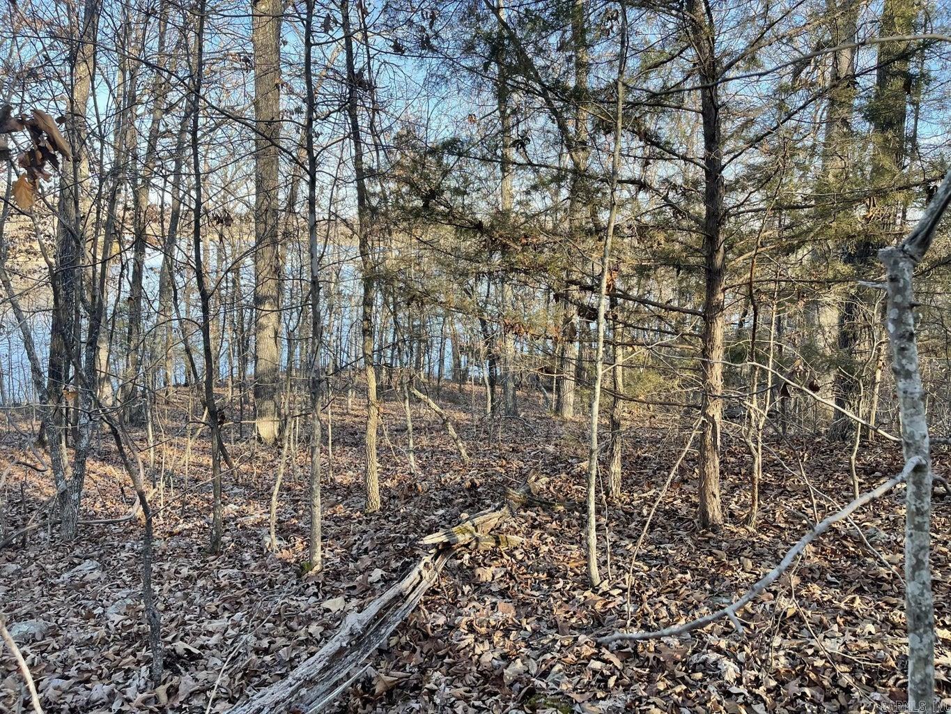 Photo 7 - Vacant Land for sale – 00  Chesapeake   Cherokee Village, AR