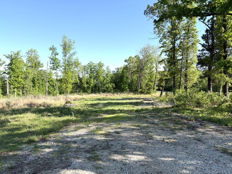 Photo 2 - Vacant Land for sale – 260  Highway 63   Ravenden, AR