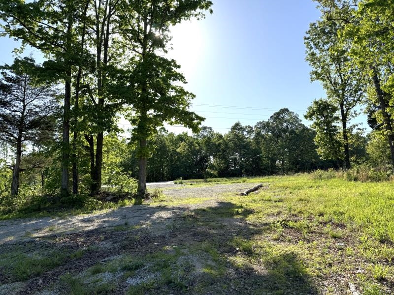 Photo 14 - Vacant Land for sale – 260  Highway 63   Ravenden, AR