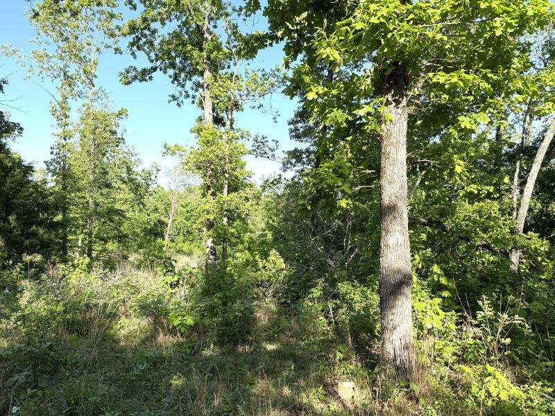 Photo 15 - Vacant Land for sale – 260  Highway 63   Ravenden, AR