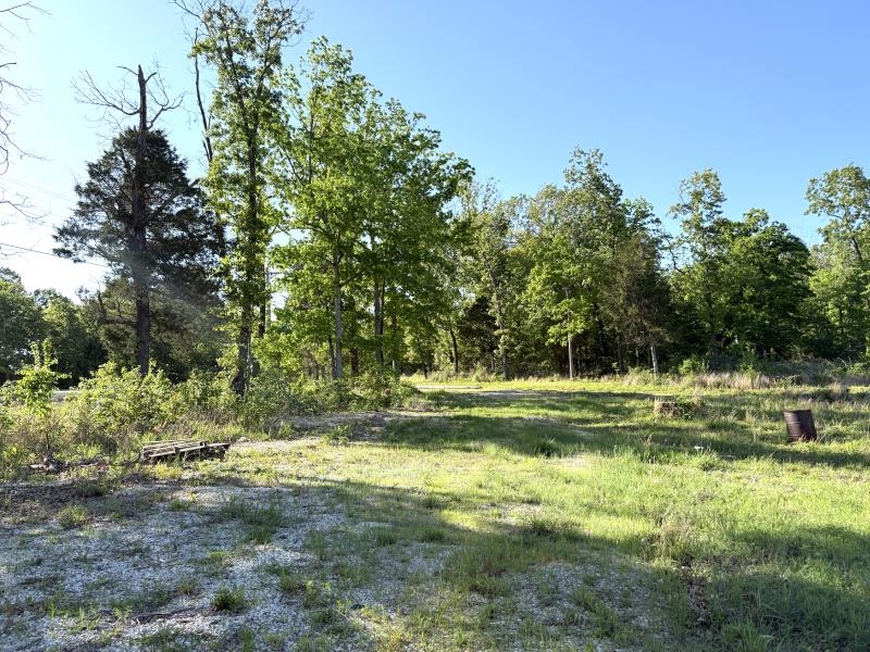 Photo 16 - Vacant Land for sale – 260  Highway 63   Ravenden, AR