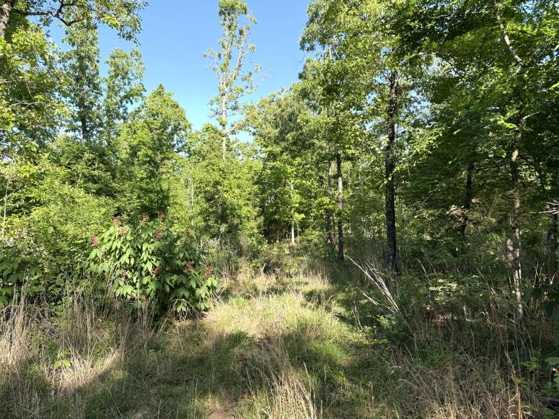 Photo 17 - Vacant Land for sale – 260  Highway 63   Ravenden, AR