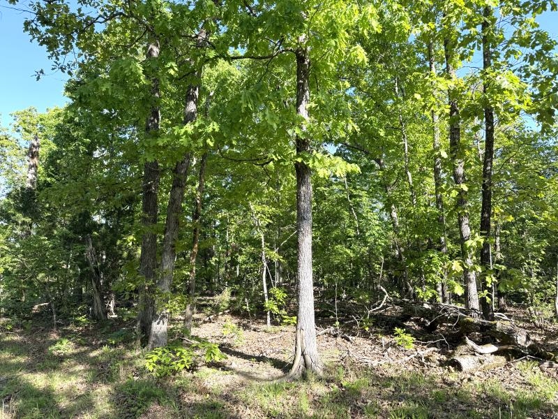 Photo 18 - Vacant Land for sale – 260  Highway 63   Ravenden, AR