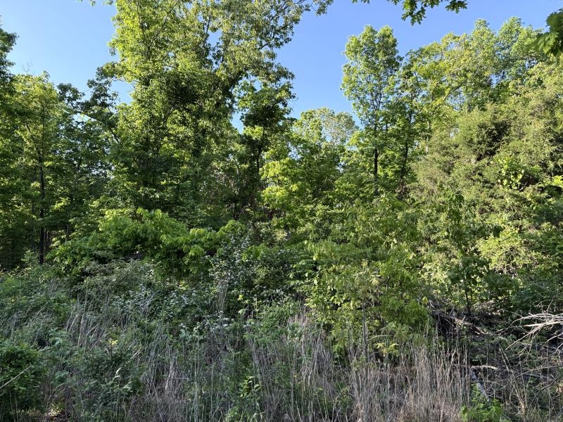 Photo 19 - Vacant Land for sale – 260  Highway 63   Ravenden, AR