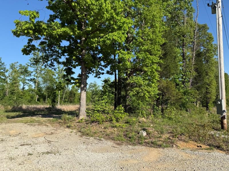 Photo 3 - Vacant Land for sale – 260  Highway 63   Ravenden, AR