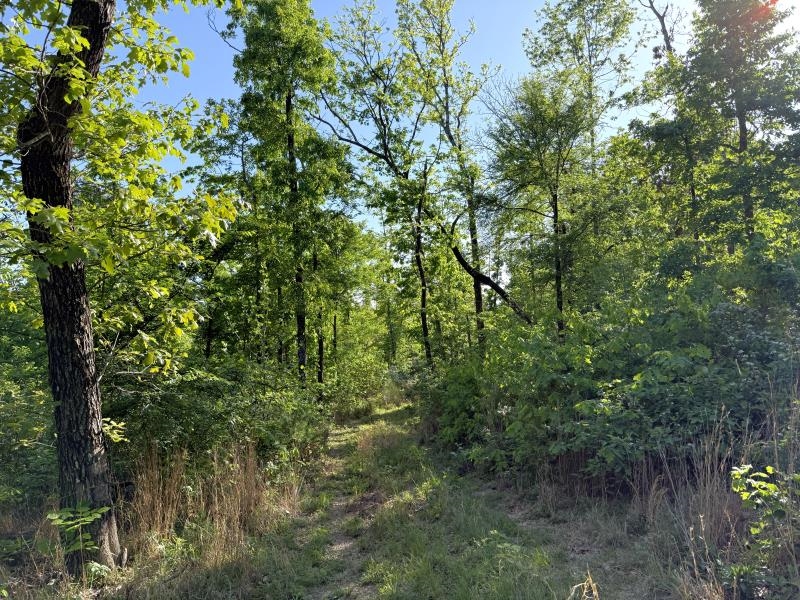 Photo 21 - Vacant Land for sale – 260  Highway 63   Ravenden, AR