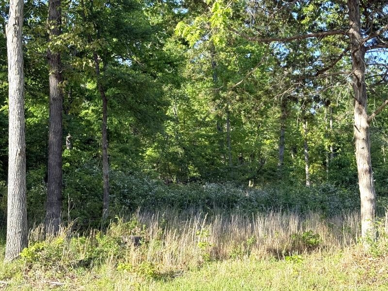 Photo 22 - Vacant Land for sale – 260  Highway 63   Ravenden, AR