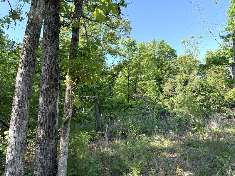Photo 24 - Vacant Land for sale – 260  Highway 63   Ravenden, AR