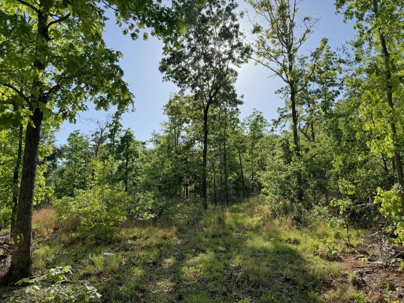 Photo 25 - Vacant Land for sale – 260  Highway 63   Ravenden, AR