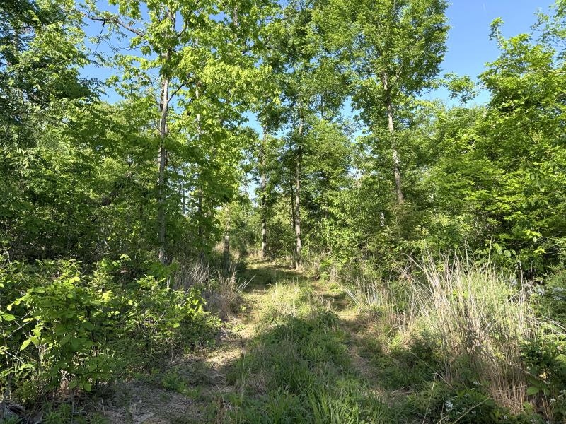 Photo 26 - Vacant Land for sale – 260  Highway 63   Ravenden, AR