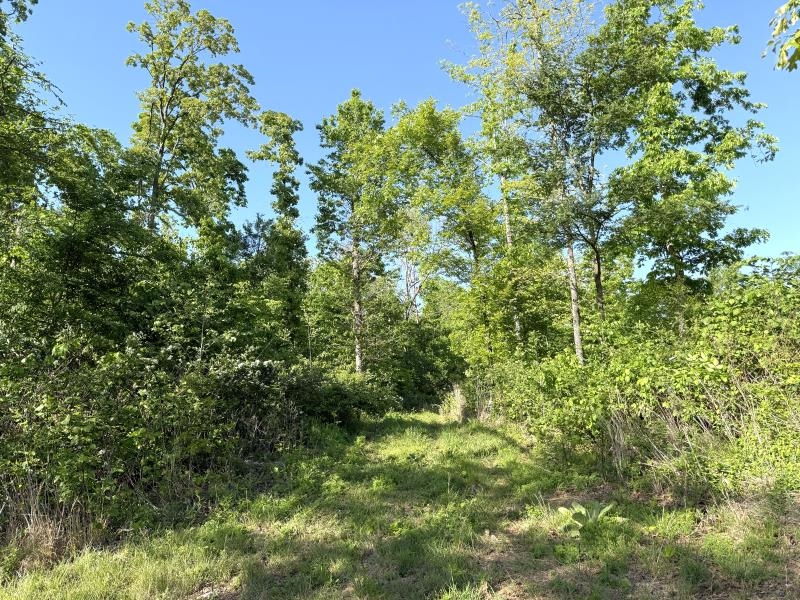 Photo 27 - Vacant Land for sale – 260  Highway 63   Ravenden, AR