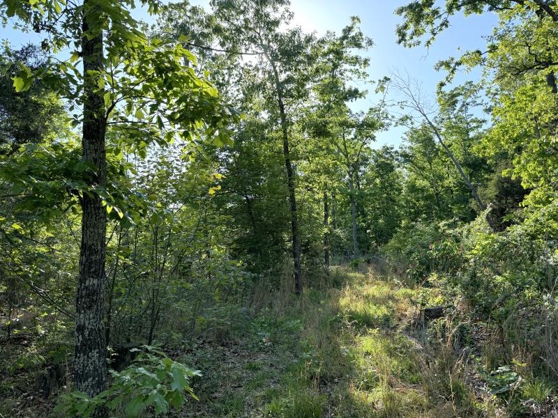 Photo 28 - Vacant Land for sale – 260  Highway 63   Ravenden, AR