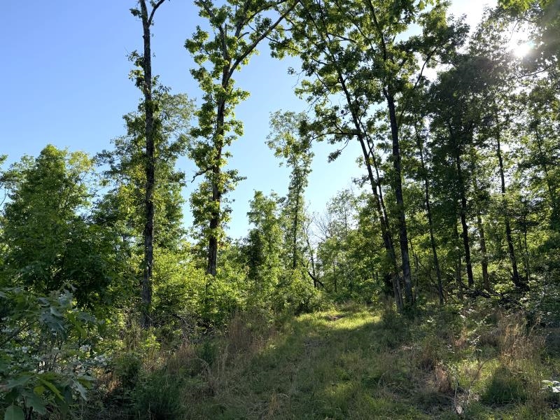 Photo 30 - Vacant Land for sale – 260  Highway 63   Ravenden, AR