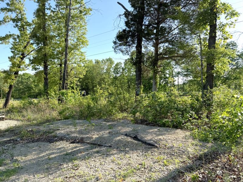 Photo 4 - Vacant Land for sale – 260  Highway 63   Ravenden, AR
