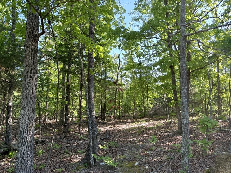 Photo 5 - Vacant Land for sale – 260  Highway 63   Ravenden, AR