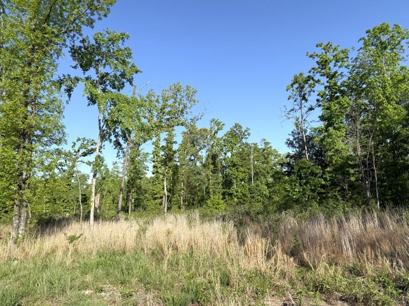 Photo 6 - Vacant Land for sale – 260  Highway 63   Ravenden, AR