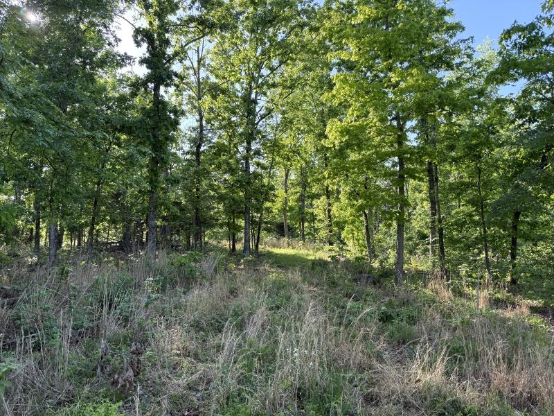 Photo 8 - Vacant Land for sale – 260  Highway 63   Ravenden, AR