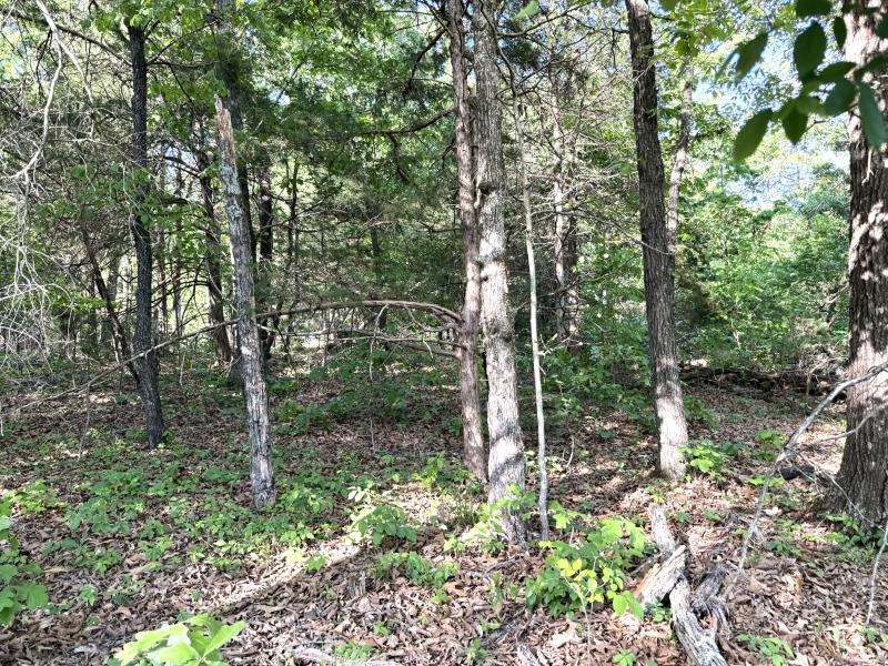 Photo 9 - Vacant Land for sale – 260  Highway 63   Ravenden, AR